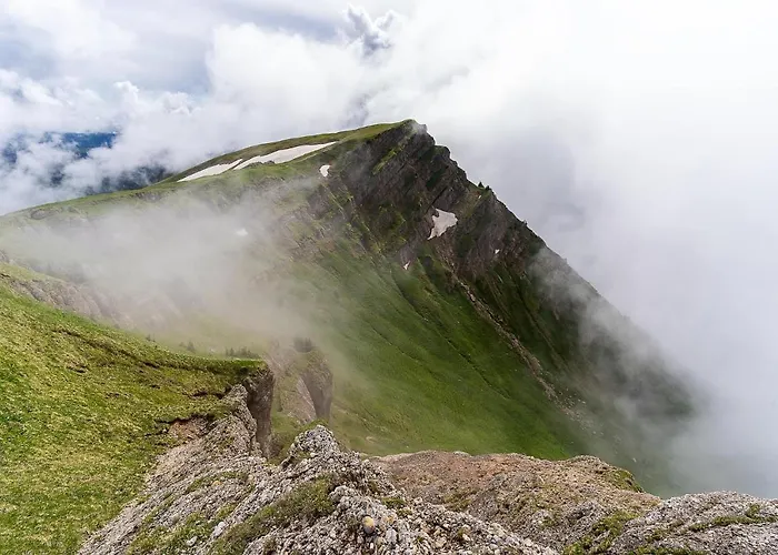 Gruenes Allgaeu Simon Held