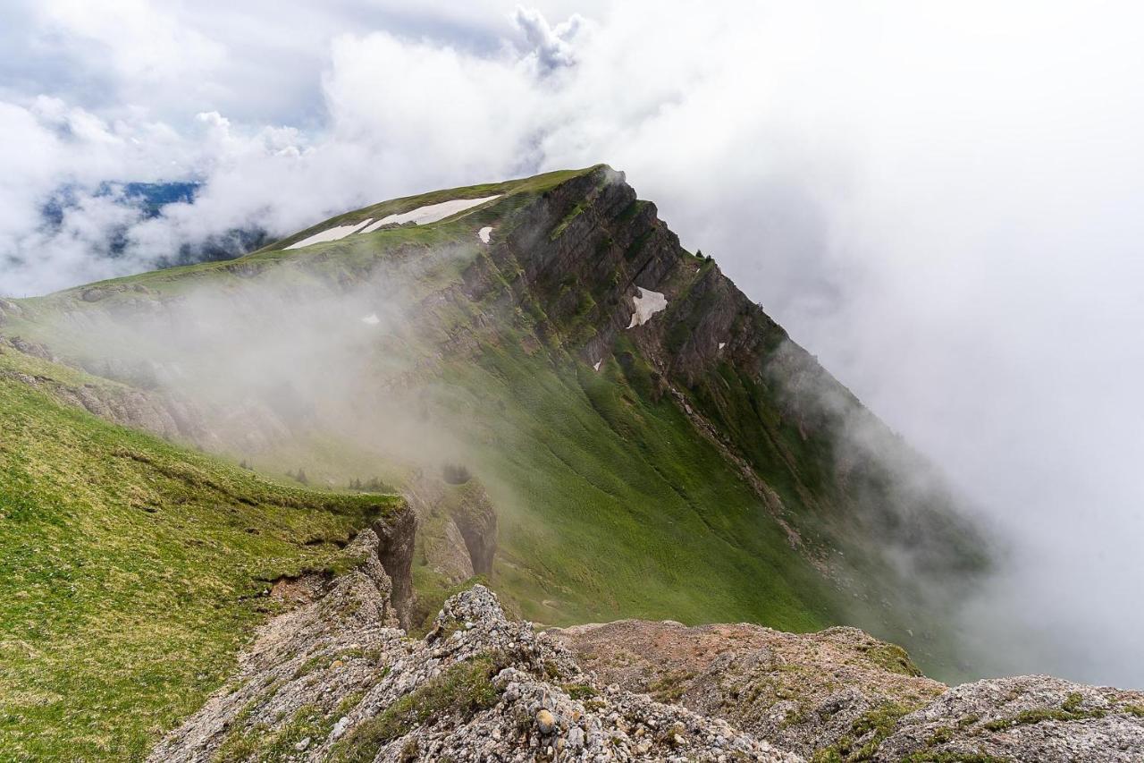 Gruenes Allgaeu Simon Held